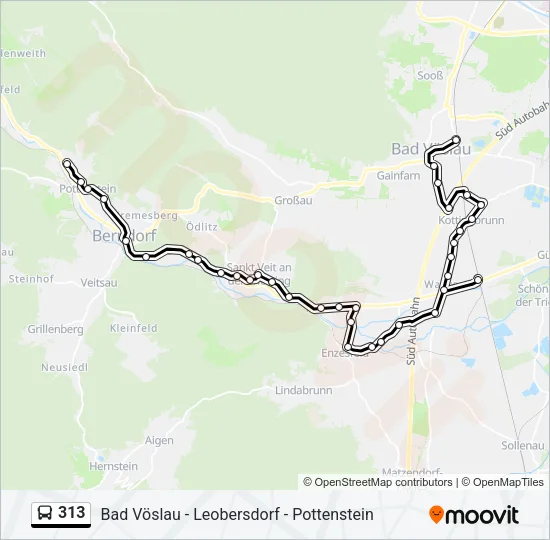 313 Bus Line Map