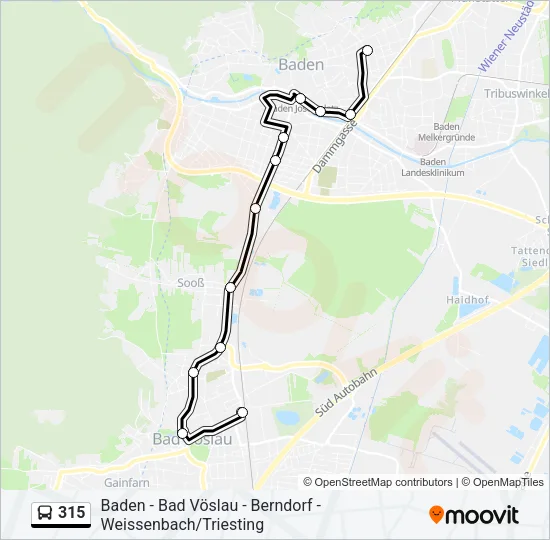 315 Bus Line Map
