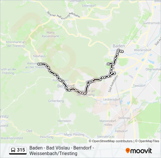 315 Bus Line Map