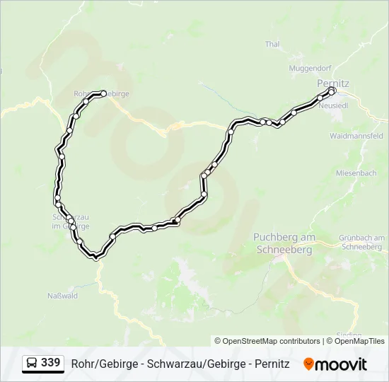 339 Bus Line Map