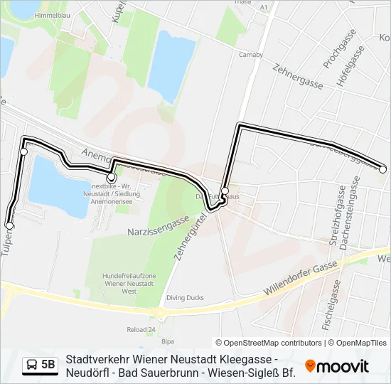 5B Bus Line Map