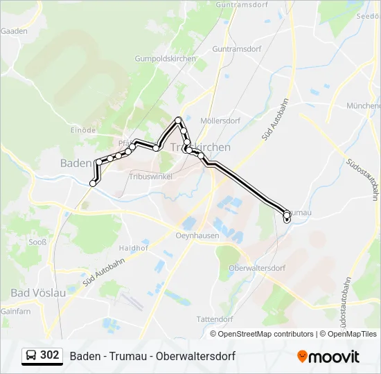 302 Bus Line Map