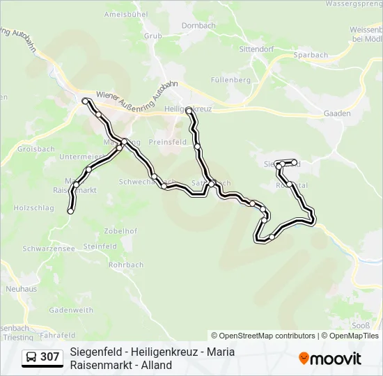 307 Bus Line Map