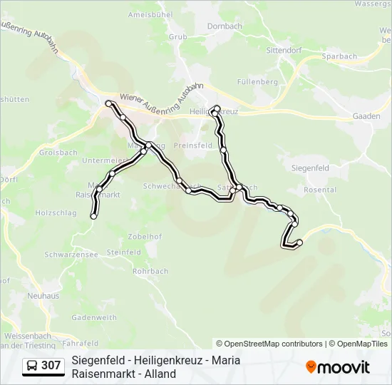 307 Bus Line Map