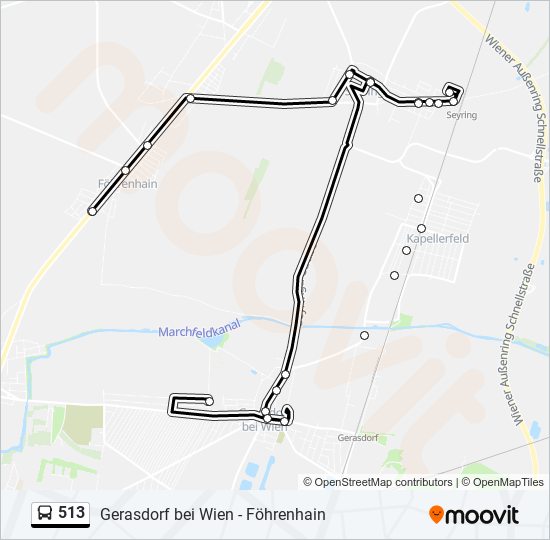 513 Route Schedules, Stops & Maps Föhrenhain Hanuschgasse (Updated)