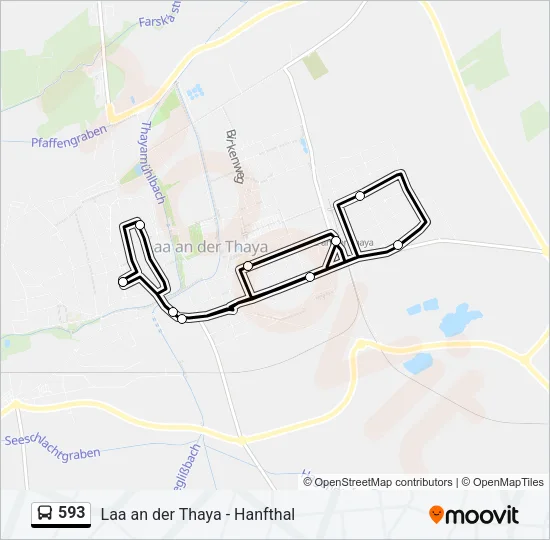 593 Bus Line Map