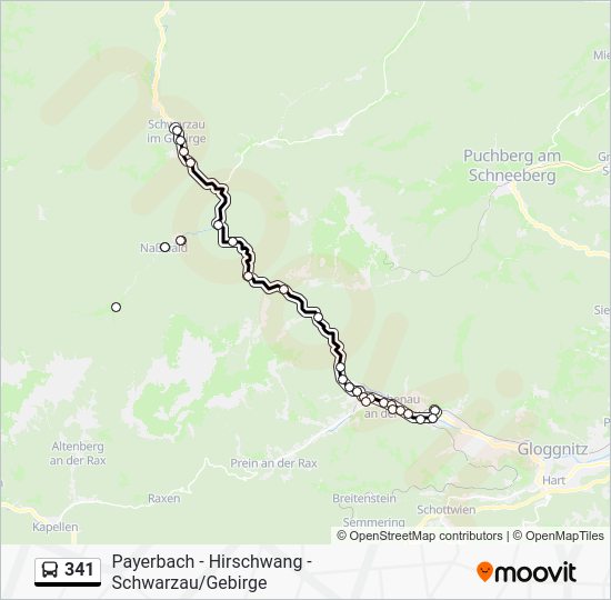 341 Route: Schedules, Stops & Maps - Schwarzau/Geb. Ortsmitte (Updated)