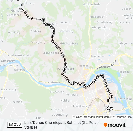 250 Bus Line Map