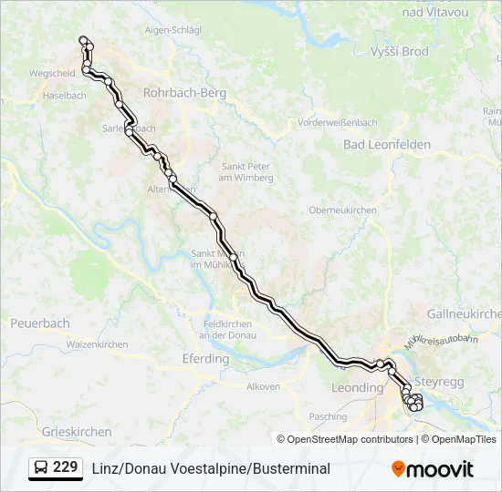 229 Bus Line Map