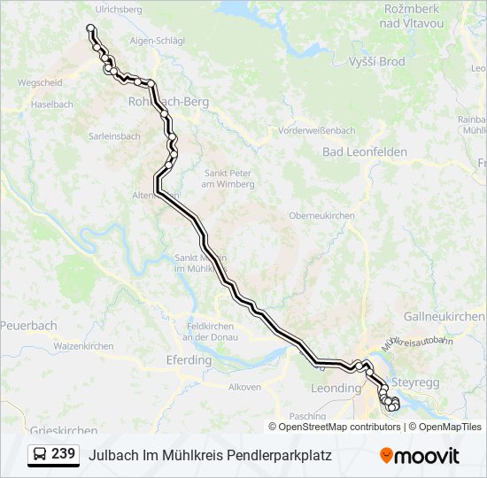 239 bus Line Map