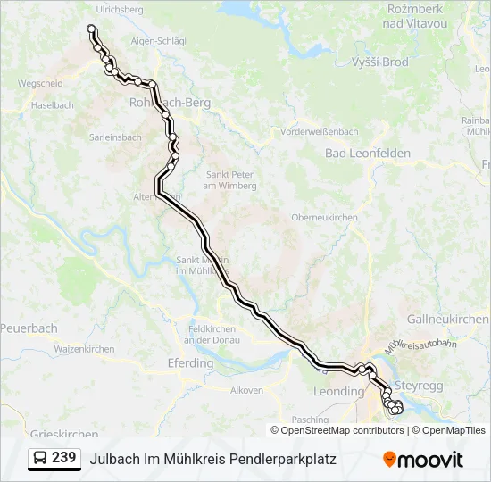 239 Bus Line Map