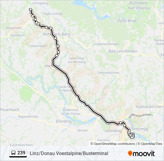 239 bus Line Map