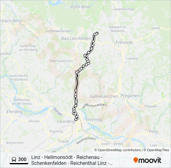 300 Bus Line Map