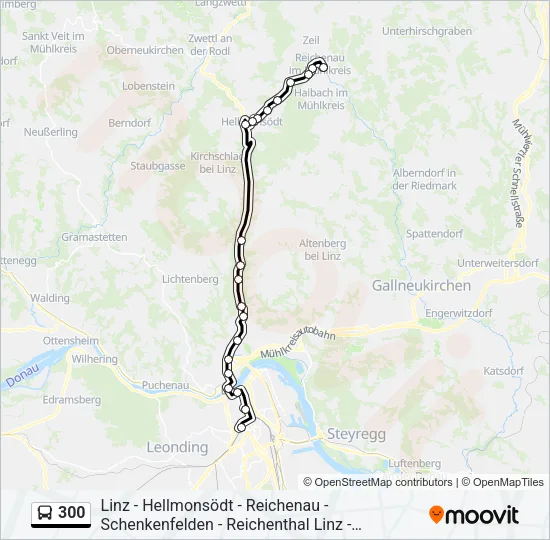 300 Bus Line Map