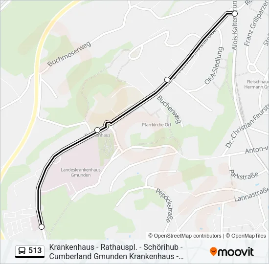 513 Bus Line Map