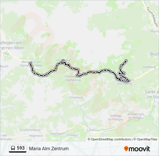 593 Bus Line Map