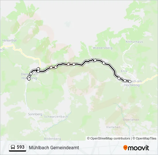593 Bus Line Map