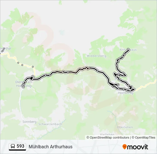 593 Bus Line Map