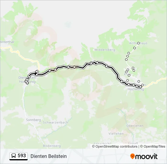 593 Bus Line Map