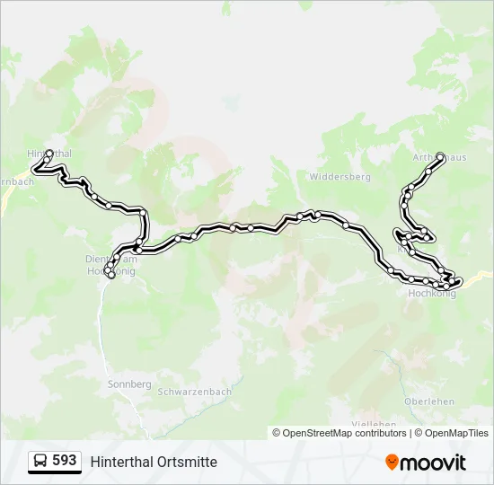 593 Bus Line Map