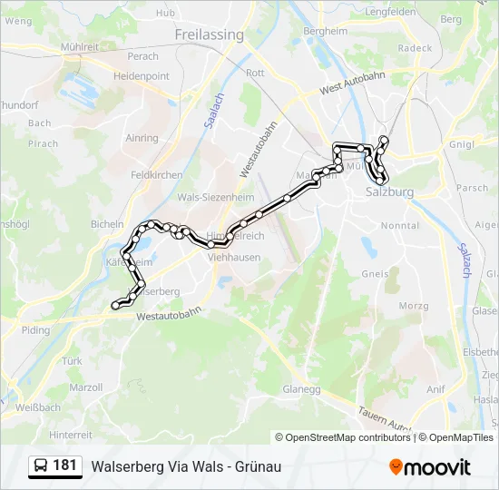 181 Bus Line Map