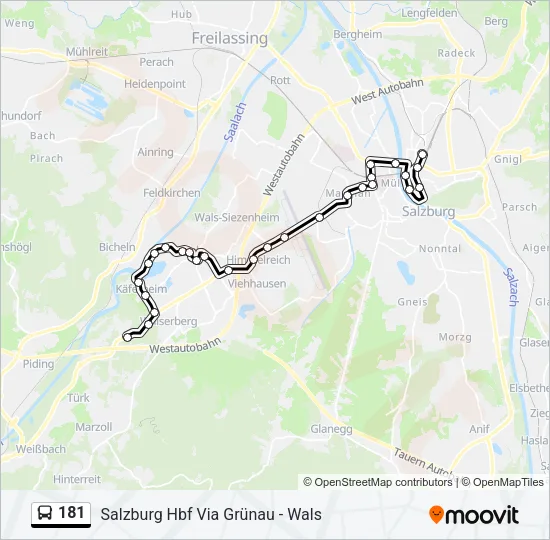 181 Bus Line Map