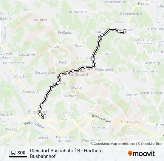 300 Bus Line Map