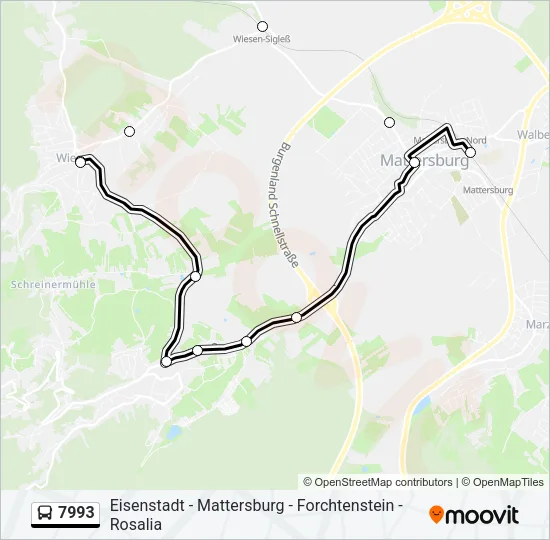 7993 Bus Line Map