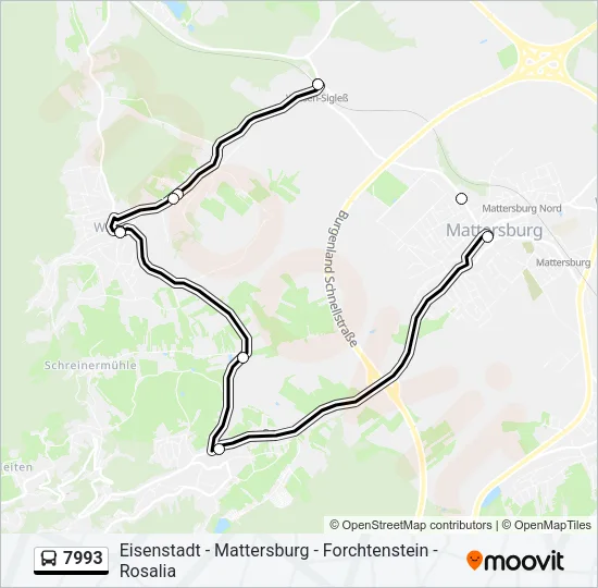 7993 Bus Line Map