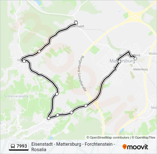7993 Bus Line Map