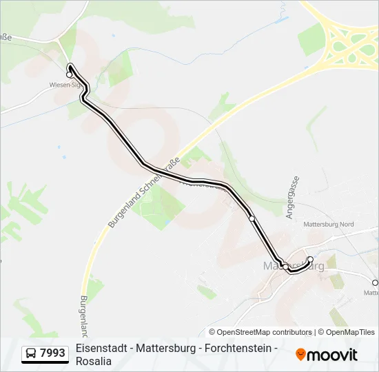 7993 Bus Line Map