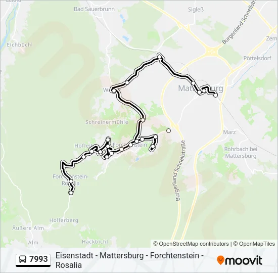 7993 Bus Line Map