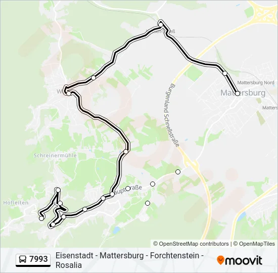 7993 Bus Line Map