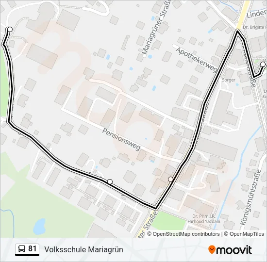 81 Bus Line Map