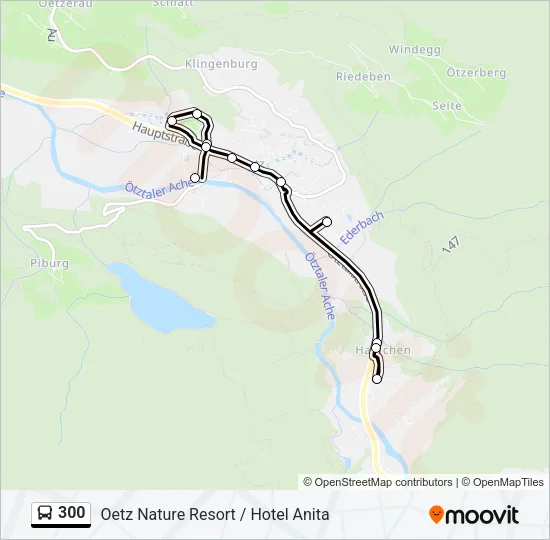 300 Bus Line Map