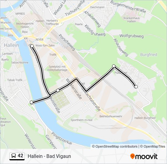 42 Route: Schedules, Stops & Maps - Hallein Davisstraße/Htl (Updated)