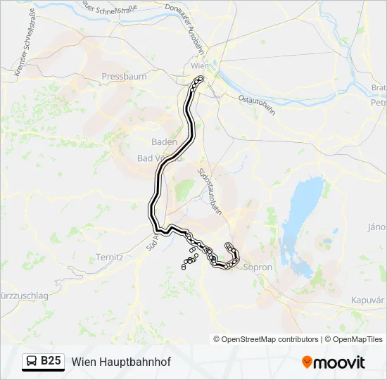 B25 Bus Line Map