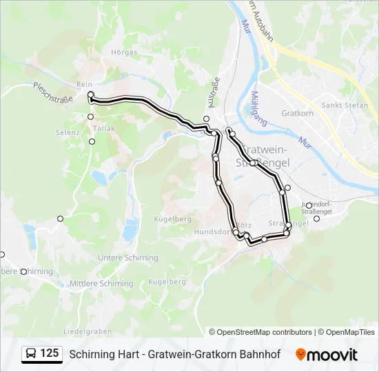 125 Bus Line Map