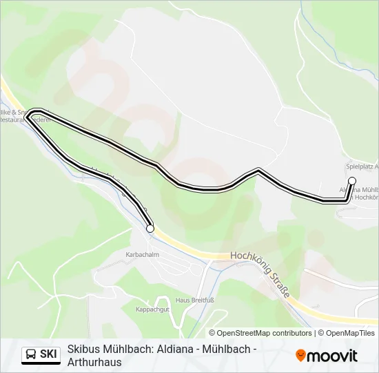 SKI Bus Line Map