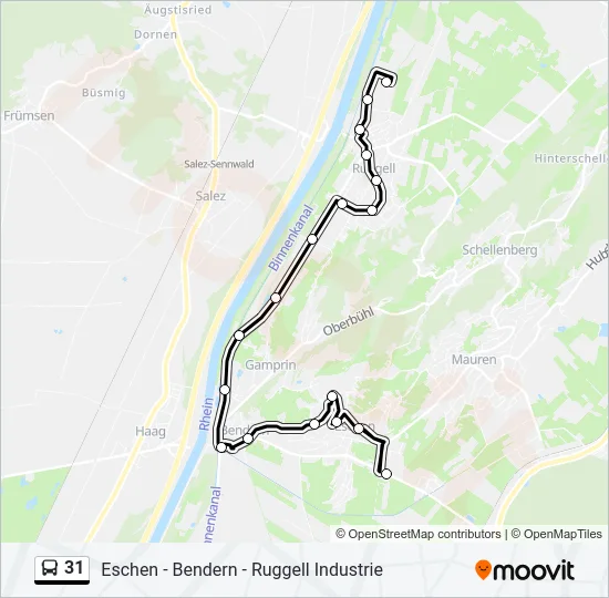 31 Bus Line Map