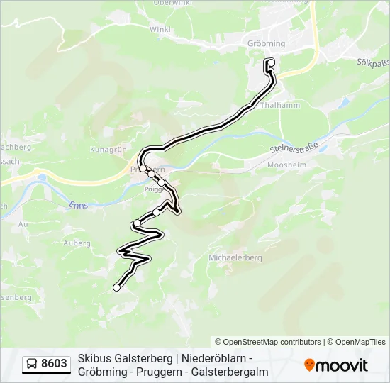 8603 Bus Line Map
