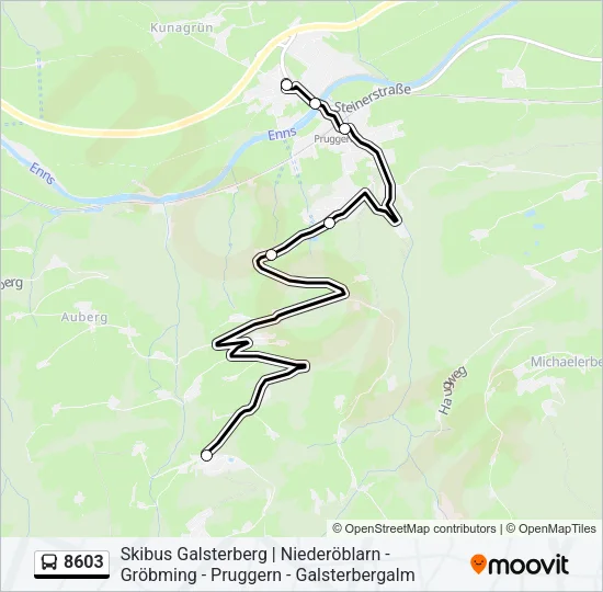 8603 Bus Line Map