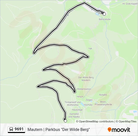 9691 Bus Line Map