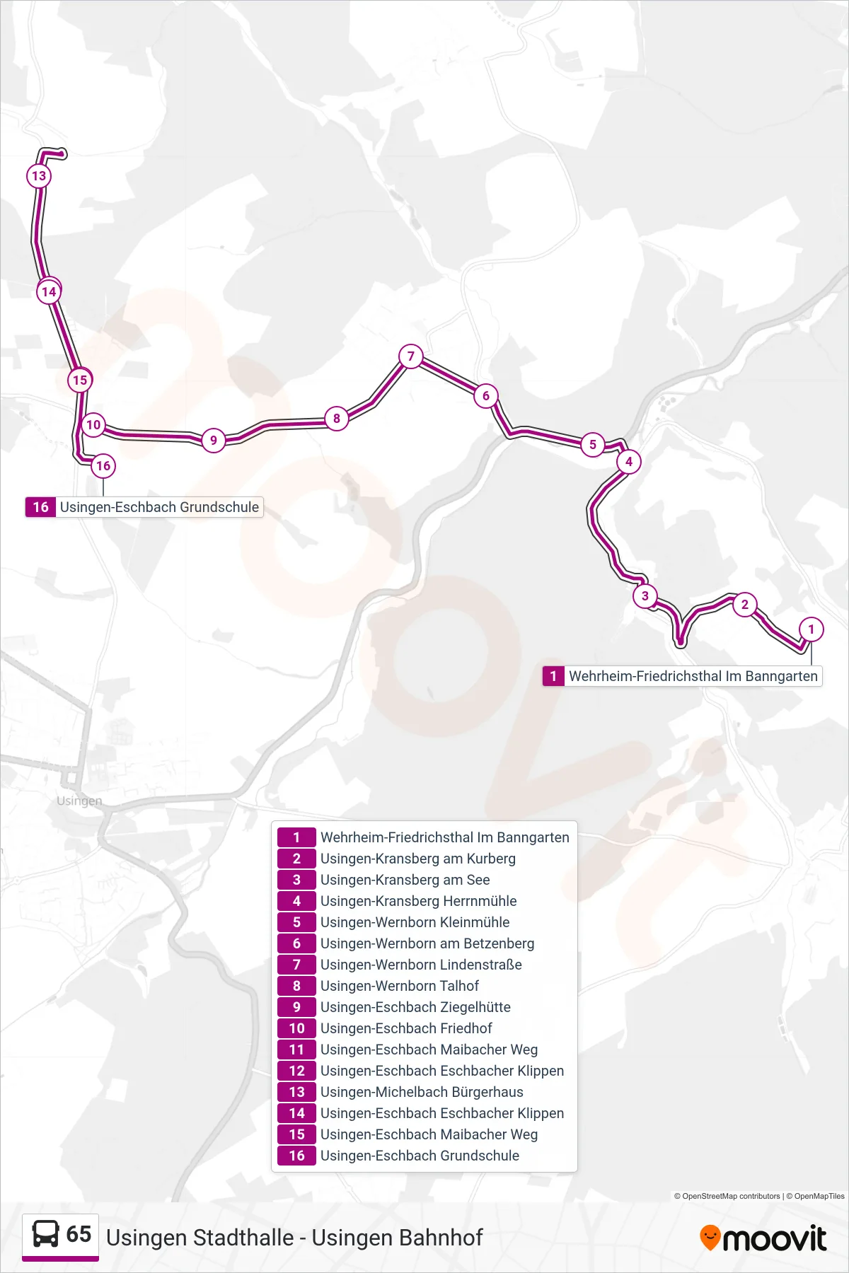 65 bus Line (Usingen-Eschbach Grundschule) route and stops on a map