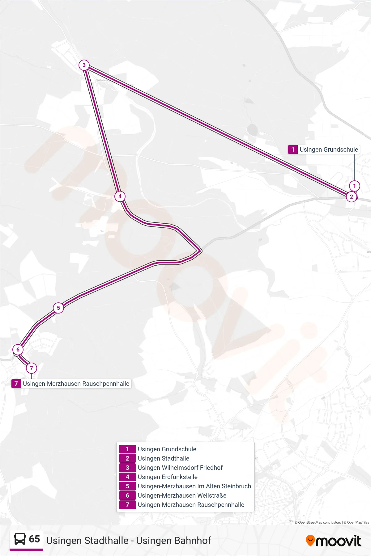 65 bus Line (Usingen-Merzhausen Rauschpennhalle) route and stops on a map