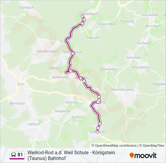 81 Bus Line Map