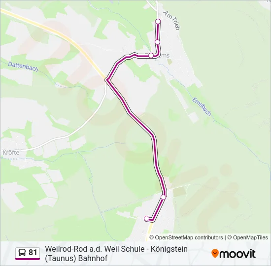 81 Bus Line Map