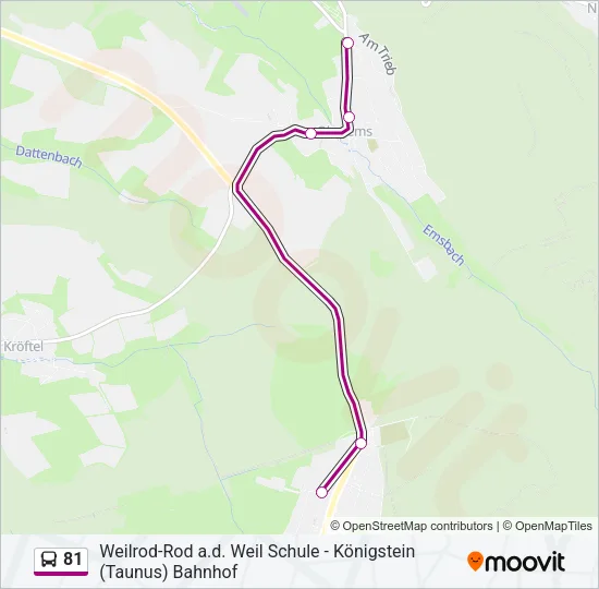 81 Bus Line Map