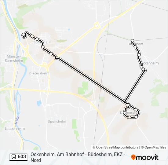 603 Bus Line Map