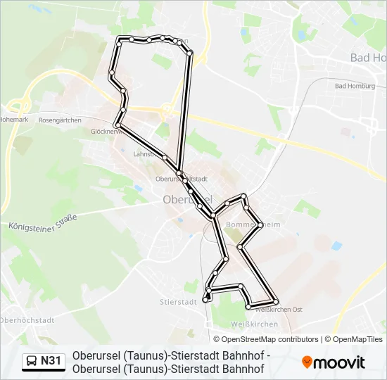 N31 Bus Line Map